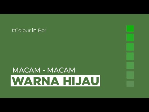 Video: Warna yang manakah loden?