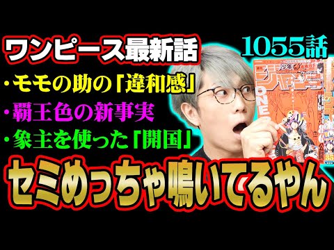 展開がアツすぎる神回！今週も伏線回収がヤバい！最終章で重要になる「開国」とは？【 ワンピース 1055話 最新話 考察 】 ※ジャンプ ネタバレ 注意