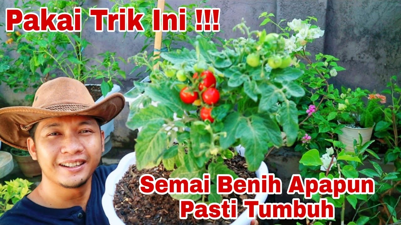 Beda asal benih, beda cara semai nya !!