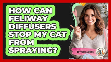 How Can Feliway Diffusers Stop My Cat From Spraying? - Happy Cat Handbook
