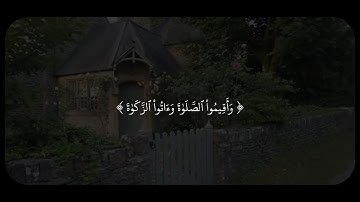 وَأَقِيمُواْ ٱلصَّلَوٰةَ | سورة المزمل | عبدالرحمن مسعد