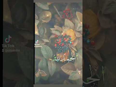 حالة وتس نشيد حمدا ياربي على النعمي