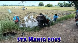 Ep. 40, BUHAY BUKID karyada sa sta maria