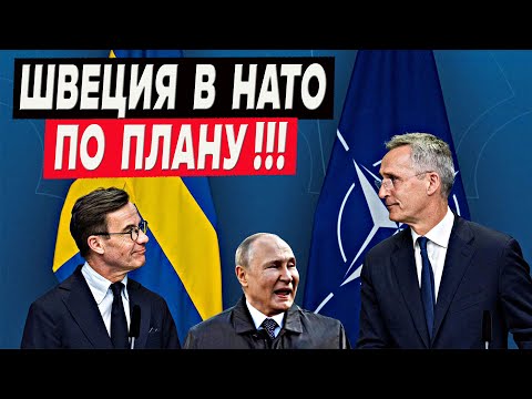 Швеция стала 32 членом НАТО – что это значит для Украины и для россии?