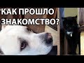 VLOG: Операция ШШШ и другие прилючения Костика. Обалденная запеканка в мультиварке.