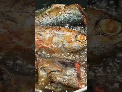 Frying bullet tuna#asmr #shorts