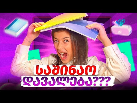 ემილია VS საშინაო დავალება! ჩელენჯი