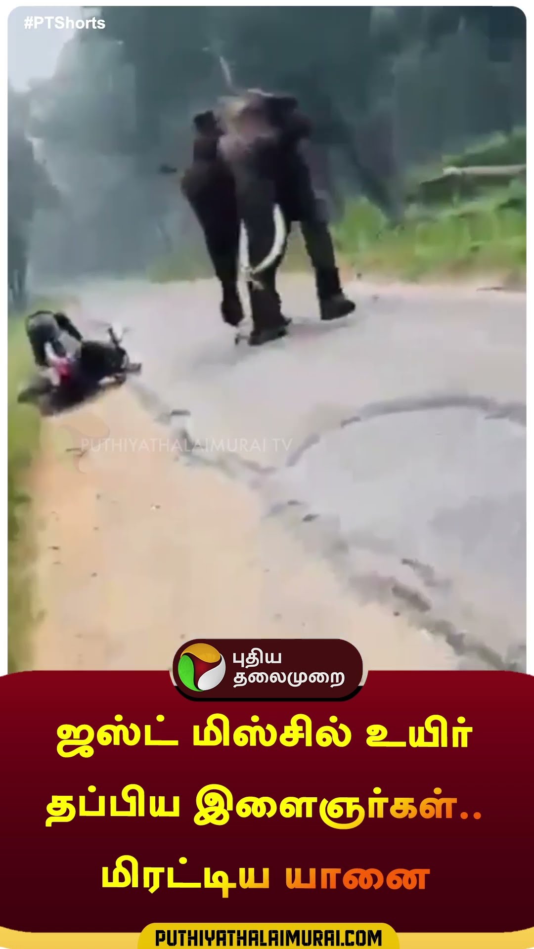 ஜஸ்ட் மிஸ்சில் உயிர் தப்பிய இளைஞர்கள்.. மிரட்டிய யானை  | #shorts | #kerala | #wayanadu