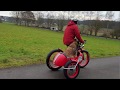 Fatbike with sidecar