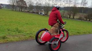 Fatbike with sidecar