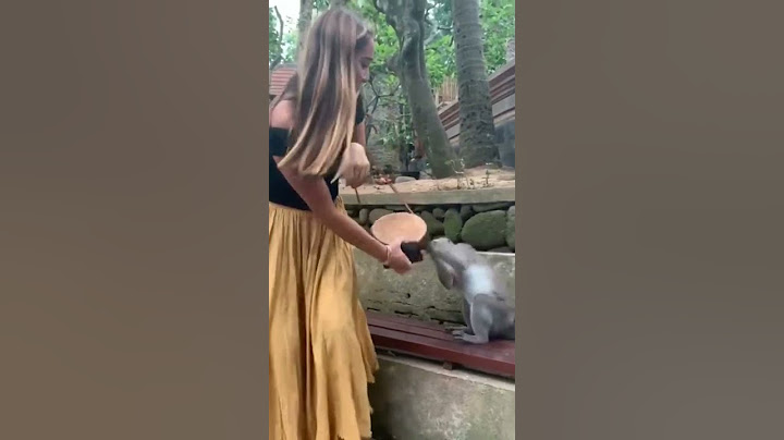 🐒🐵🐵🤦‍♂️🤦‍♂️🤦‍♂️🤦‍♂️💁‍♀️💁‍♀️💁‍♀️💁‍♀️💁‍♀️💖💔💔💔💔💔💞💞💕💕💗💗❤❤