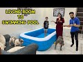 Living room to swimming pool  funny dog