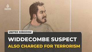 Anne Widdecombe murder suspect also charged over Farage terror plot