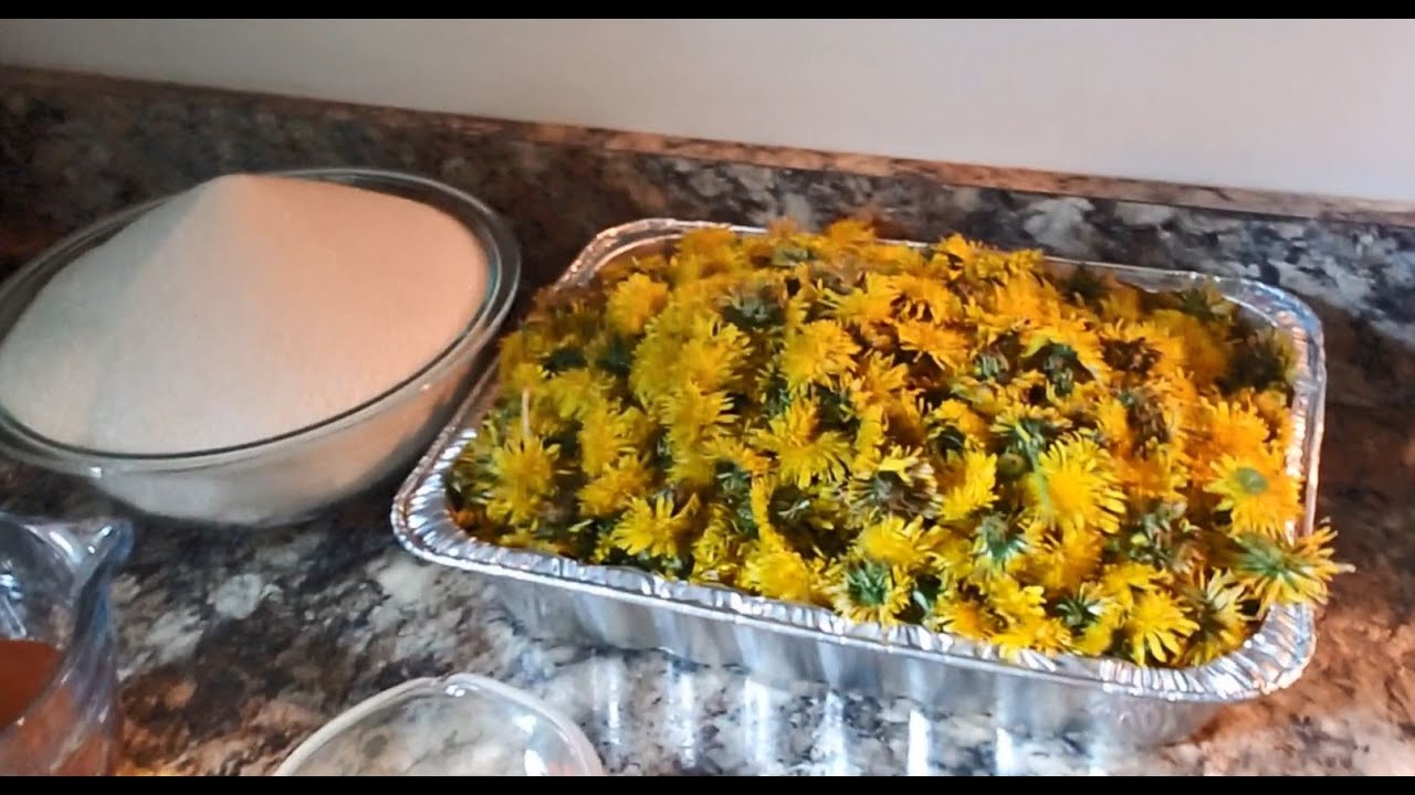 Dandelion Wine! YouTube