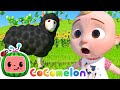 Baa Baa Black Sheep @Cocomelon - Nursery Rhymes | Kids Cartoons | Nursery Rhymes | Moonbug Kids