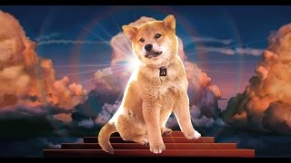 Хатико | Hachiko 1987