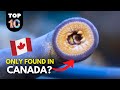 10 WEIRD animals ONLY found in Canada 🇨🇦