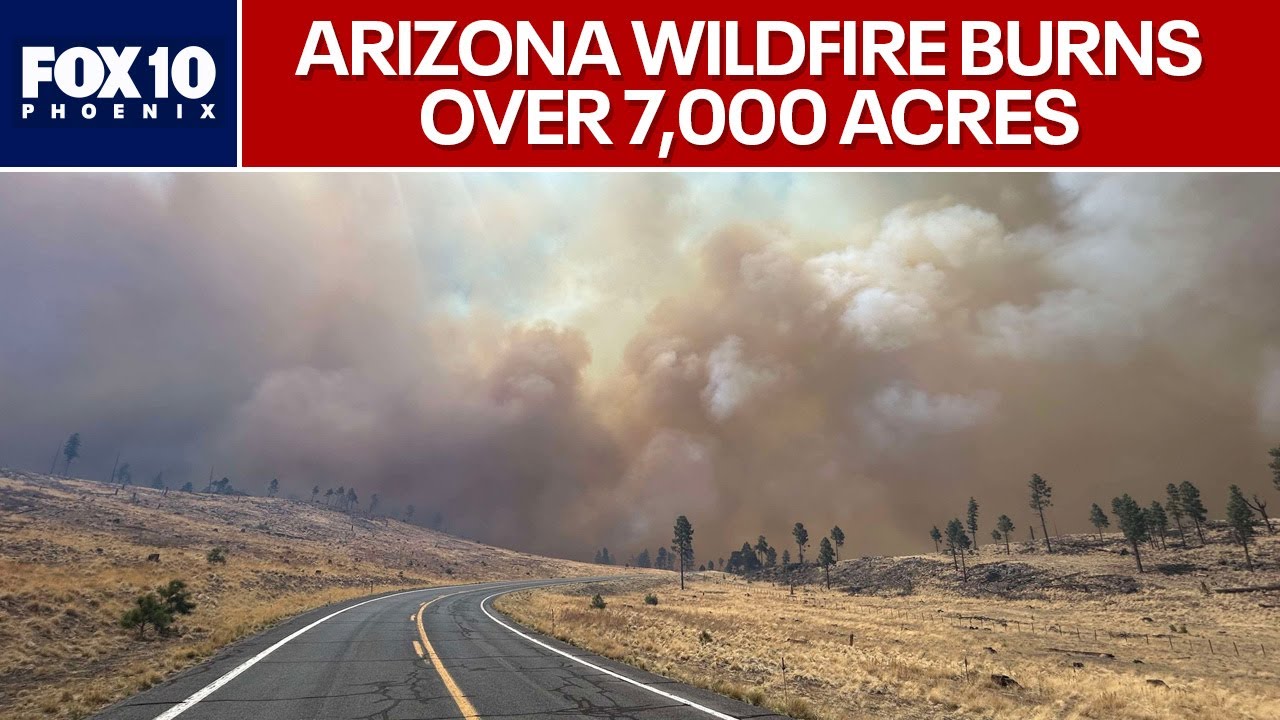 Latest on Greer Fire burning in Apache County l FOX 10 Phoenix - YouTube
