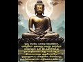 உன் மனநிலையில் உறுதி வேண்டும் | Stability | Buddha tamil motivational | Tamil trending shorts