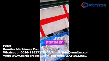 Automatic High Speed Garlic Bulb Vacuum Packing Machine