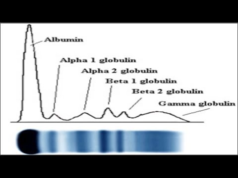 Video: Kan biyokimyası - test profilleri, normlar