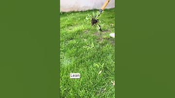 Say goodbye to weeds with this amazing tool! #fok #shopdeal