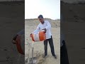 Jindagi Me Ek ped Jarur lagae #today #viral # trending video#ytshort