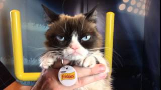 Grumpy Cat's Worst Touchdown Dance Ever!