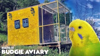 Building Outdoor Aviary for Budgies