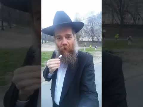 Running Commentary 8 The Rebbe S Birthday 