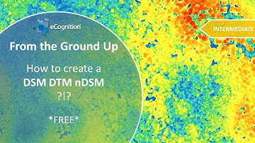 How to create a DSM, DTM & nDSM ?!?