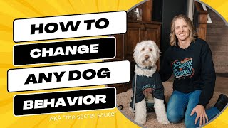 How To Change Any Dog Behavior