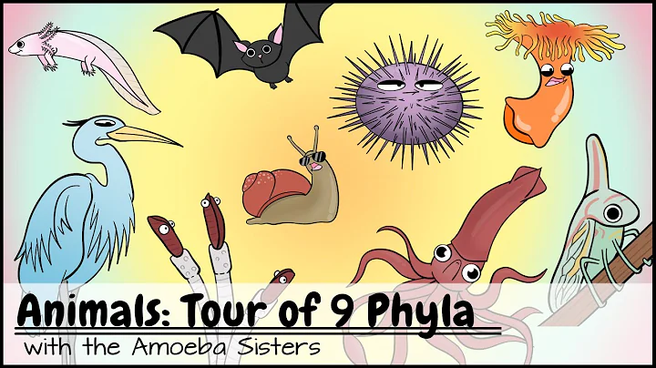 Animals: Tour of 9 Phyla - DayDayNews