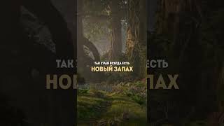 Когда Аллах создают Рай и Ад #напоминание#Аллаху#субханаллах#цитаты#пророк#врек#shorts