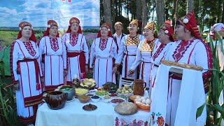 картинка: День Дубёнского района