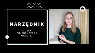 видео: Narzędnik. Орудний відмінок однини і множини картинка: Narzędnik. Орудний відмінок однини і множини