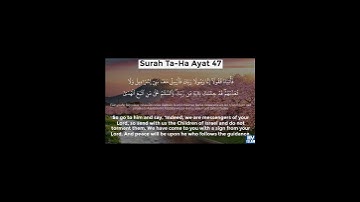 سورة طه أيت نمبر 46تا48 تلاوت قران كريم سعد أيوب #تلاوات #قرآن #سعد