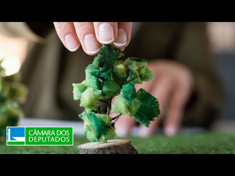 COMISSÃO DE MEIO AMBIENTE E DESENVOLVIMENTO SUSTENTÁVEL