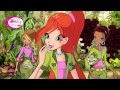 Winx Club Special Bloom Birthday Clip French Winx Club Special Bloom Birthday Clip French
