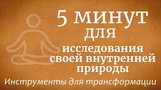 5 минут для исследования своей внутренней природы - Садхгуру