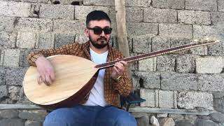 Sen Rüzgar Bende Yaprak - Doğan Dalmiş