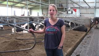 Instrooien Van Gescheiden Mest