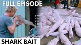 Gordon Ramsay: Shark Bait