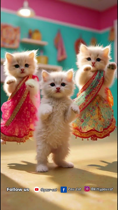 Cute cat 🐱 nang ning nang ning nang 28104 #cat #funnycat #shortvideo #shortsviral #fypシ゚viral