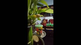 PAK TANI URO-URO / NEMBANG BAHASA JAWA TENTANG PEMERINTAHAN DESANYA SAAT INI