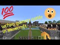 I Build Techno Gamer Castle In Minecraft I Took 200 Days Yogesh Hindustani Gamer I Build Techno Gamer Castle In Minecraft I Took 200 Days Yogesh Hindustani Gamer