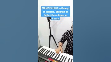Thumbnail of PEDAVE PALIKINA cover song from NANI. by Maduryas Shivamani and Tarun Kumar. Full video available