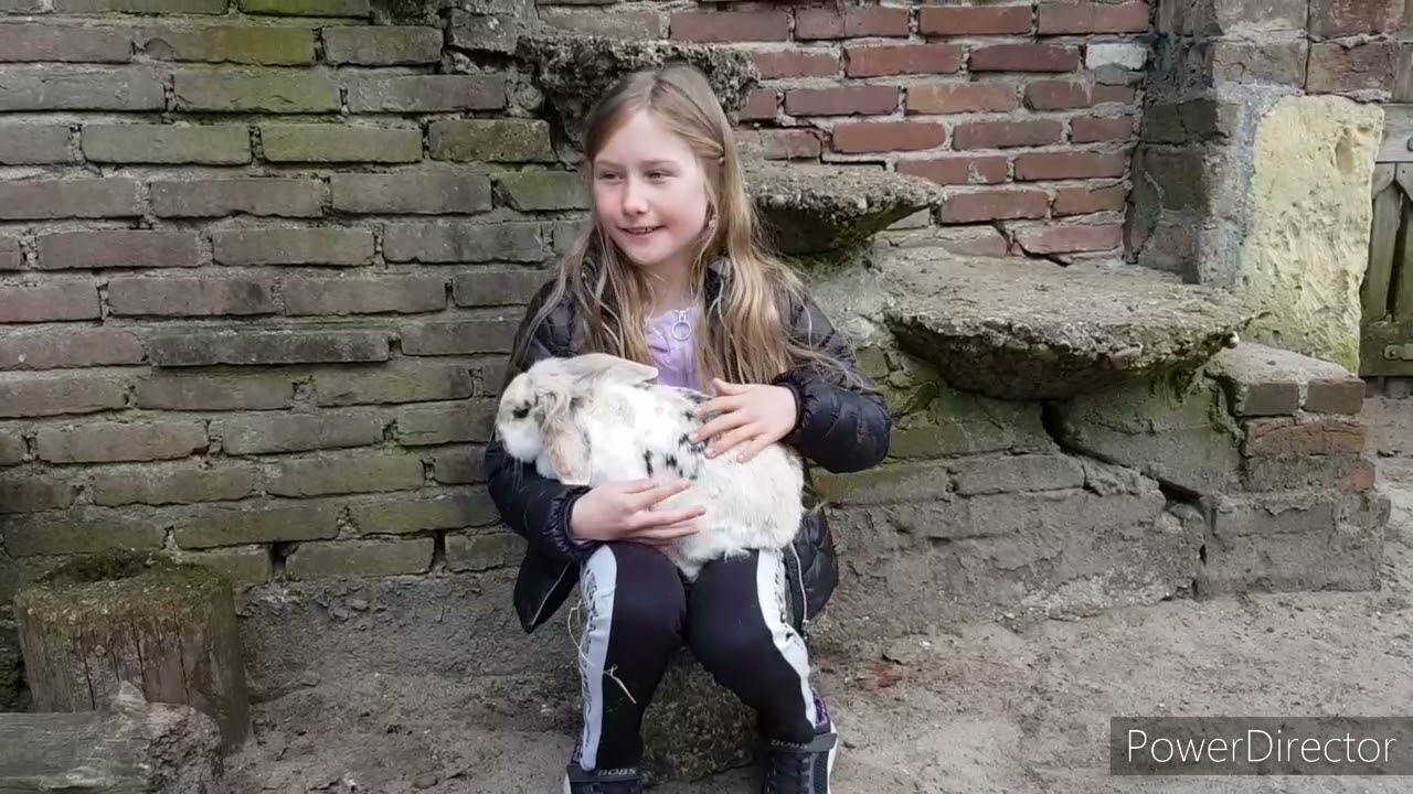 Robin vertelt over de nieuwe jonge dieren ❤ op Kinderboerderij Buiten-"Gewoon"