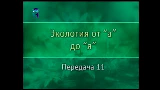 Экология. Передача 11. Температура и вода. Мир австралийских пустынь