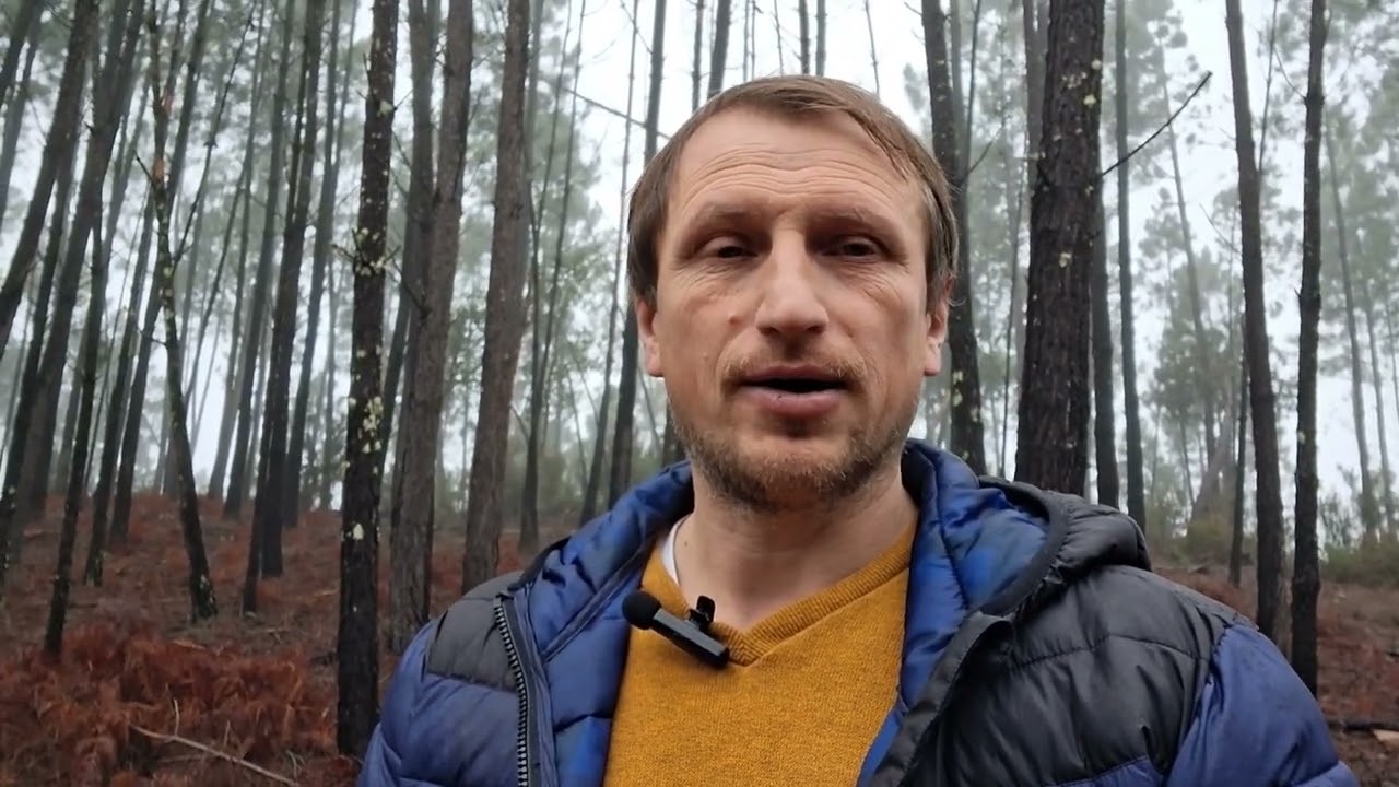 Пасіка з нуля.  01.02.2026 Португалія 